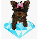 •The Diamond Dog Club•