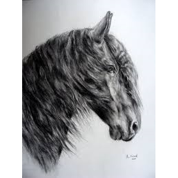 Mountain rescue stables~