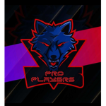 Pro playes