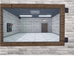 the Mirror