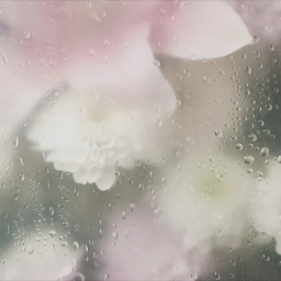 ♡