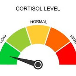[Obby] Low Cortisol 📉
