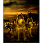 the wolfpack and gang