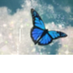 ~Aesthetic butterfly ~
