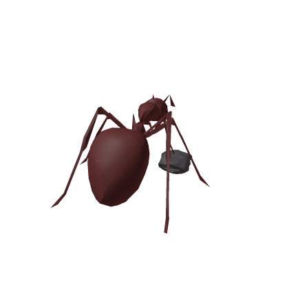 Ant with rock