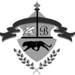 Stellar’a Cheer Academy