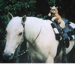 Moon pie & me