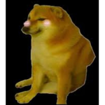 El escuadrón doges :3