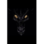 The Black Dragon Bandits Group
