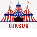 The Chicken Circus