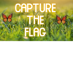 Capture the flag RED VS BLUE