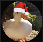 Dylan’s group/community