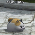 Cat group ppl :P