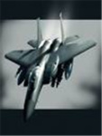 Roblox Elite Air Patrol
