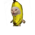Banana Studios Incorporated