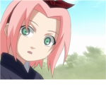 Sakura fan group!!