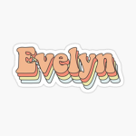 evs clothes