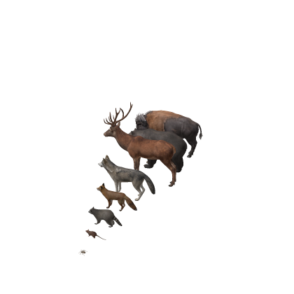 Animals Pack
