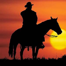 Totally normal wild west