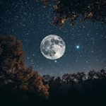 متوج