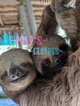 ~mily's clothes~