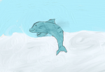 The Dolphin Squad!!