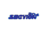 Section 204