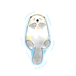 폴리부대