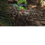 robux 360 Group Thumbnail
