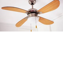ceiling fan store