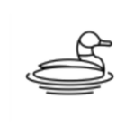Team Canard Vert