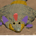 ffranckart