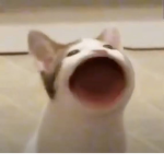 CkalelGamingYT