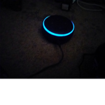 Alexa the stupid