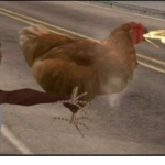 maskedangels