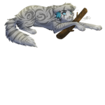 Jayfeather!