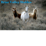 Briar Valley Stables