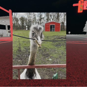 Kill The Mythical Bird