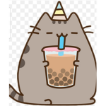 Pusheen!!!!