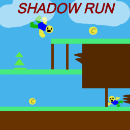 Shadow Run