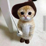 ~ kittys ~