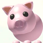 team Piggy's GROUP!