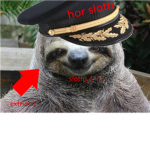 sloths 4 life