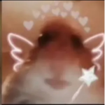 Kitty Bestay’s