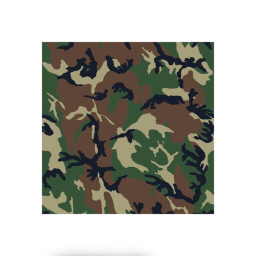 ocbter ) ARMY ZOMBIES !!!!