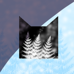 Winter clan (worrier cats)