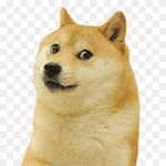 The Amazing Doge Fan Club