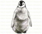 Hearts4Penguins!