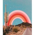 [SEASHELLS]