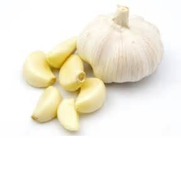 Garlic Festival